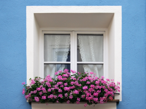 Rüyada Pencere Görmek