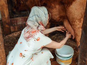 Rüyada Süt Sağmak Görmek