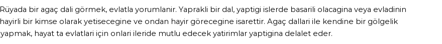 Derleme'ye Göre Rüyada Ağaç Dalı Görmek