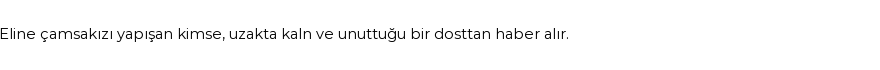 Derleme'ye Göre Rüyada Çamsakızı Görmek