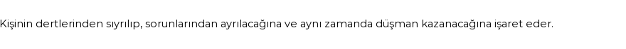 Derleme'ye Göre Rüyada Direnme Görmek