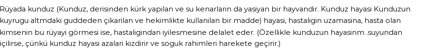 Derleme'ye Göre Rüyada Kunduz Hayası Görmek