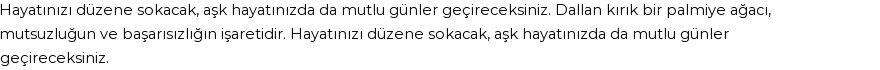 Derleme'ye Göre Rüyada Palmiye Ağacı Görmek