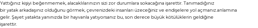 Derleme'ye Göre Rüyada Yatak Arkadaşı Görmek