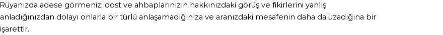 Diyanet'e Göre Rüyada Adese Görmek