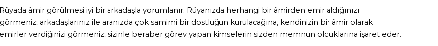 Diyanet'e Göre Rüyada Amir Görmek