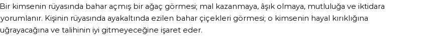 Diyanet'e Göre Rüyada Bahar Açmak Görmek