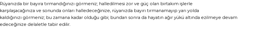 Diyanet'e Göre Rüyada Bayır Görmek