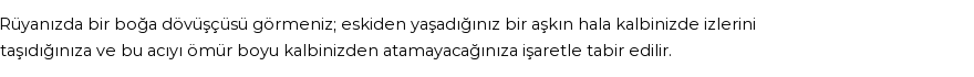 Diyanet'e Göre Rüyada Boğa Dövüşçüsü Görmek