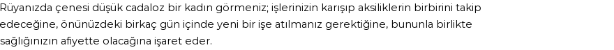 Diyanet'e Göre Rüyada Cadaloz Görmek