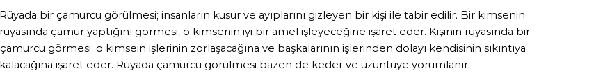 Diyanet'e Göre Rüyada Çamurcu Görmek