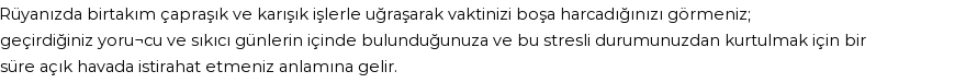 Diyanet'e Göre Rüyada Çapraşık İşler Görmek