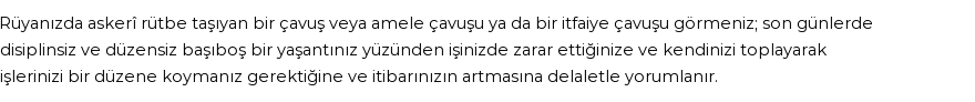 Diyanet'e Göre Rüyada Çavuş Görmek