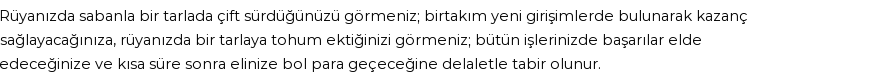 Diyanet'e Göre Rüyada Çift Sürmek Görmek