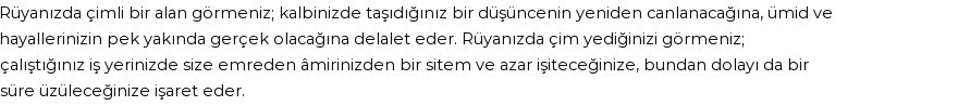 Diyanet'e Göre Rüyada Çim Görmek