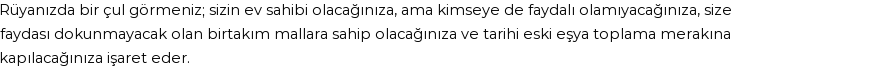 Diyanet'e Göre Rüyada Çul Görmek