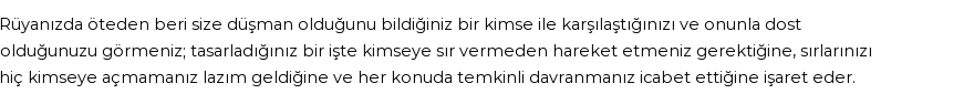 Diyanet'e Göre Rüyada Düşman Görmek