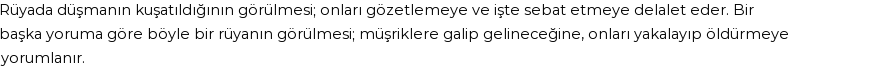 Diyanet'e Göre Rüyada Düşmanı Kuşatmak Görmek