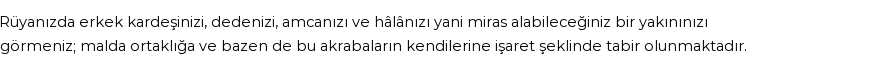 Diyanet'e Göre Rüyada Erkek Kardeş Görmek