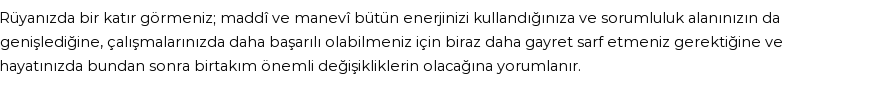 Diyanet'e Göre Rüyada Ester (katır) Görmek