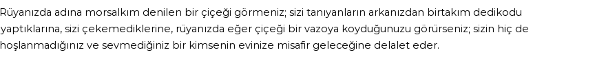 Diyanet'e Göre Rüyada Morsalkım Görmek