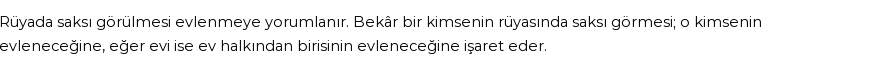 Diyanet'e Göre Rüyada Saksı Görmek