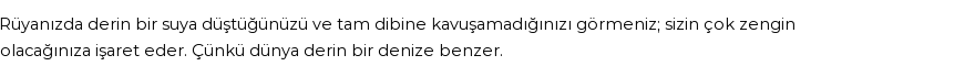 Diyanet'e Göre Rüyada Suya Düşmek Görmek