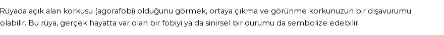 Guncel'e Göre Rüyada Agorafobi Görmek