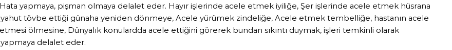 İhya'ya Göre Rüyada Acele Etmek Görmek