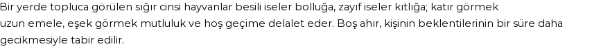 İhya'ya Göre Rüyada Ahır Görmek