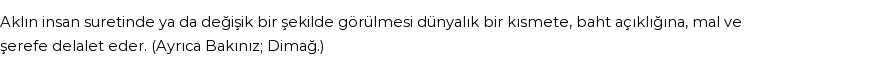 İhya'ya Göre Rüyada Akıl Görmek