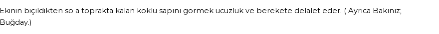 İhya'ya Göre Rüyada Anız Görmek