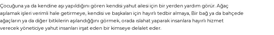 İhya'ya Göre Rüyada Aşı Görmek