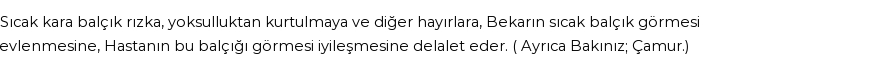 İhya'ya Göre Rüyada Balçık Görmek