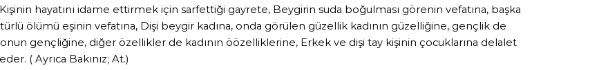 İhya'ya Göre Rüyada Beygir Görmek