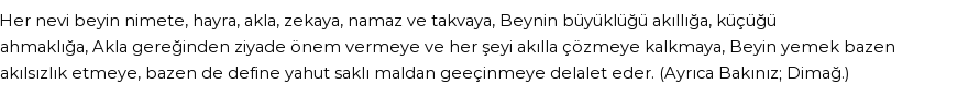 İhya'ya Göre Rüyada Beyin Görmek