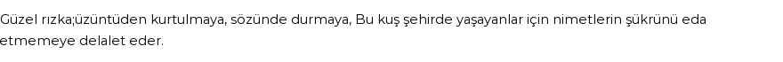 İhya'ya Göre Rüyada Bıldırcın Görmek