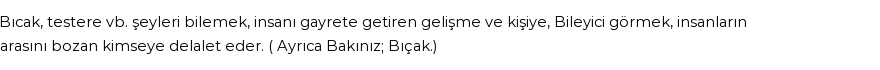 İhya'ya Göre Rüyada Bilemek Görmek