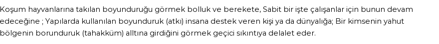 İhya'ya Göre Rüyada Boyunduruk Görmek