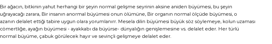 İhya'ya Göre Rüyada Büyümek Görmek