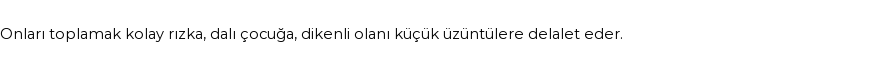 İhya'ya Göre Rüyada Çalı Görmek