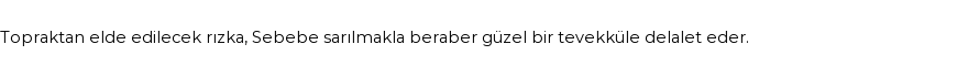 İhya'ya Göre Rüyada Çalıkuşu Görmek