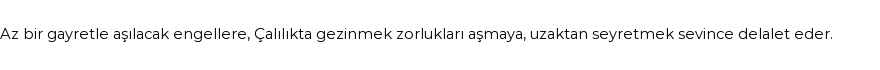 İhya'ya Göre Rüyada Çalılık Görmek