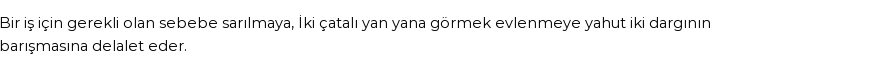 İhya'ya Göre Rüyada Çatal Görmek