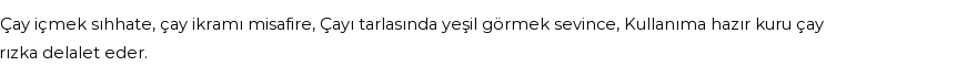 İhya'ya Göre Rüyada Çay Görmek