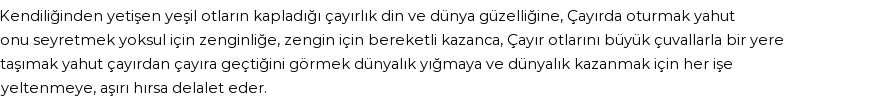 İhya'ya Göre Rüyada Çayır Görmek