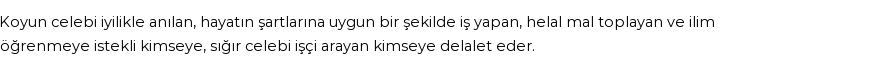 İhya'ya Göre Rüyada Celep Görmek