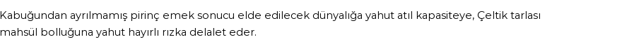 İhya'ya Göre Rüyada Çeltik Görmek