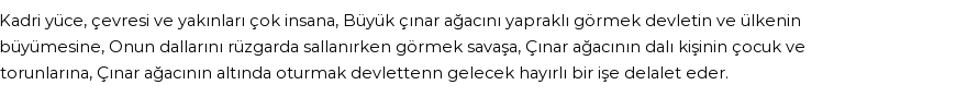 İhya'ya Göre Rüyada Çınar Görmek