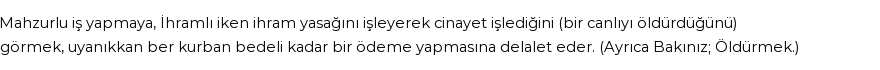 İhya'ya Göre Rüyada Cinayet Görmek